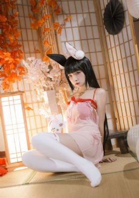美味奇缘在线观看免费完整版_HD高清免费观看
