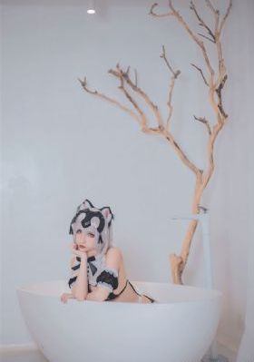 电视剧蔷薇风暴免费观看全集高清_BD国语电影全集观看